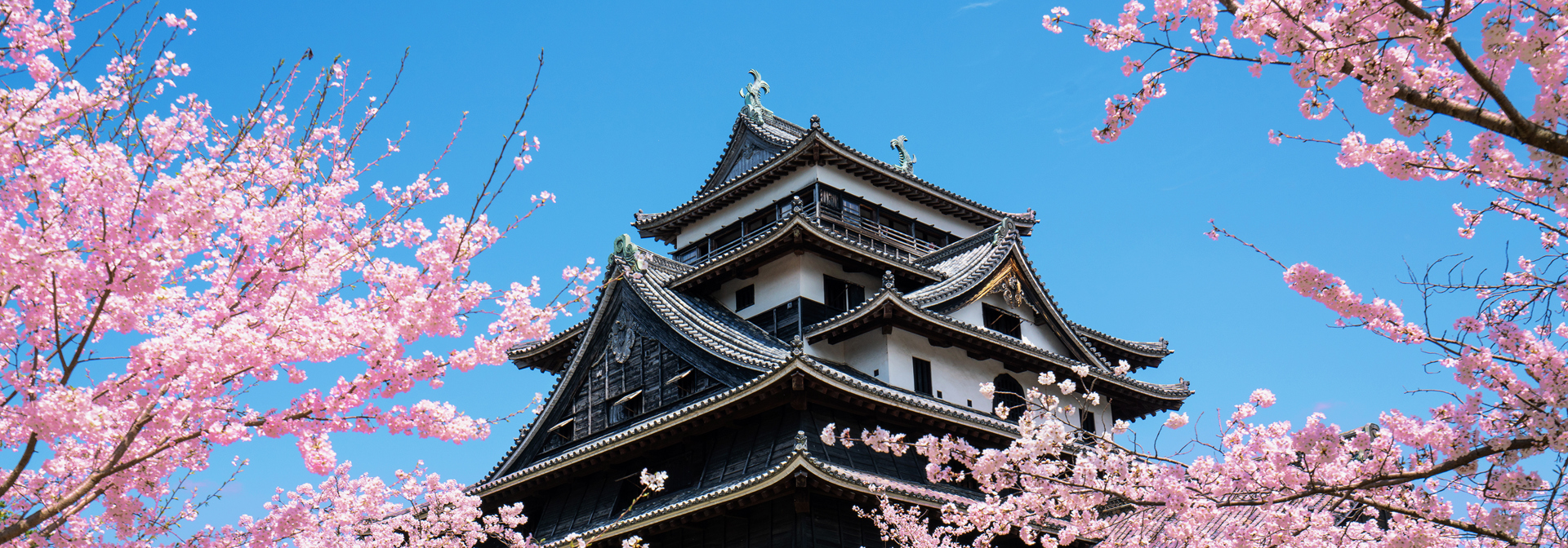 Matsue Borg As 523769826