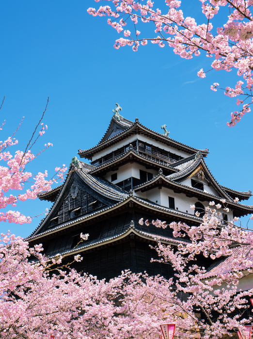 Matsue Borg As 523769826