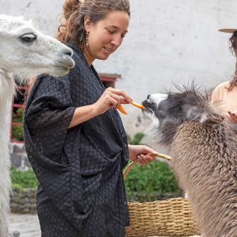Llama Fodring2