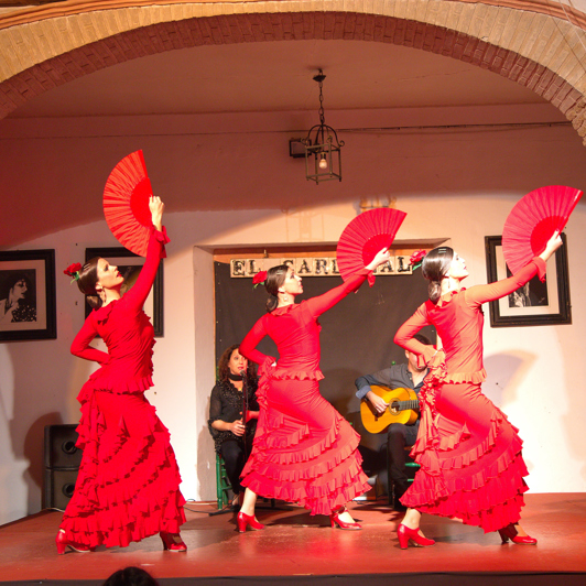 Flamenco show