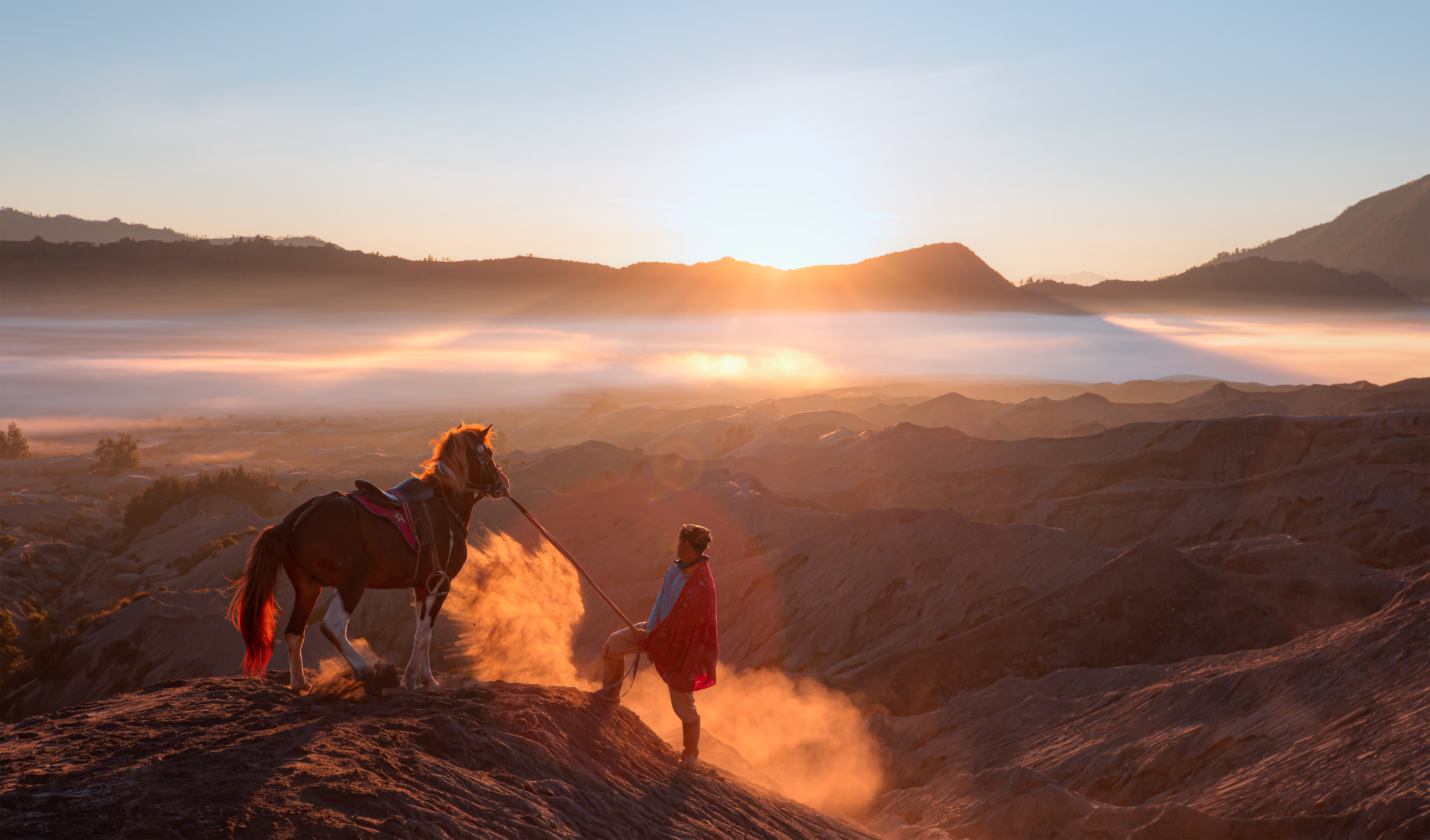 Tengger National Park Hest Ss 1502913938