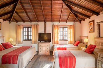 3 Bed Room