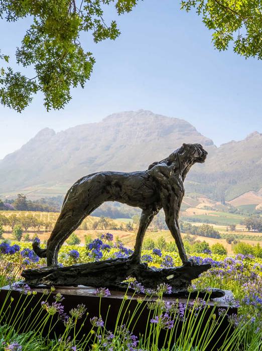 Delaire Graff Estate Dylan Lewis Cheetah Sculpture 01