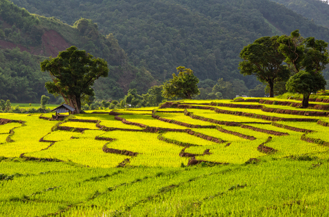 thailand - Nan provins_01