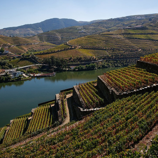 Douro Dalen_05