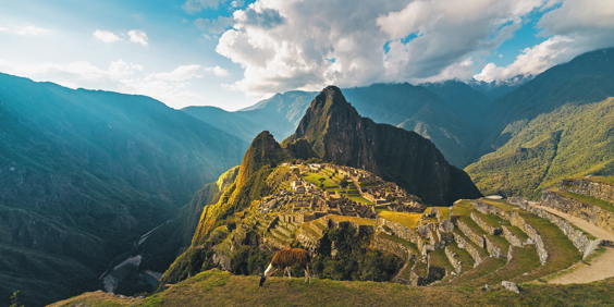 Machu Picchu 48
