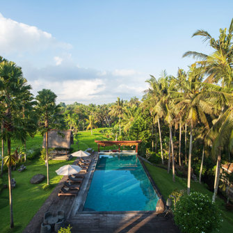 Vertical Pool Rice Fields