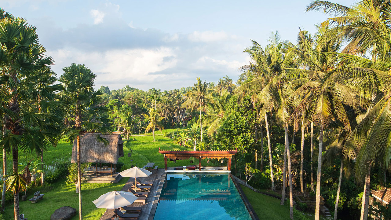 Vertical Pool Rice Fields