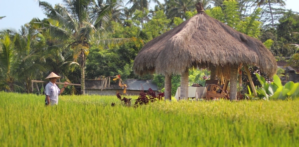 bali - mathis_retrat_rismarker_01