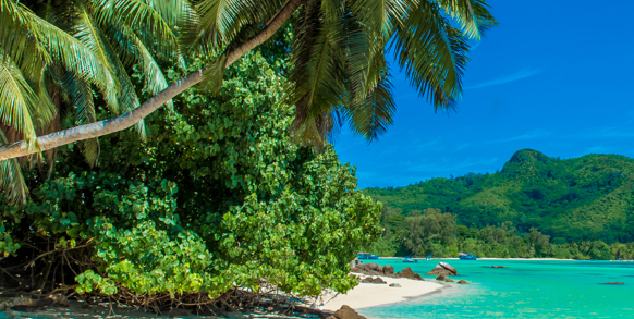 seychellerne - mahe_anse mouche_01