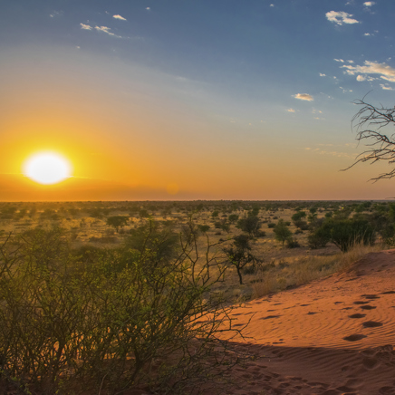 Solnedgang i Kalahariørkenen