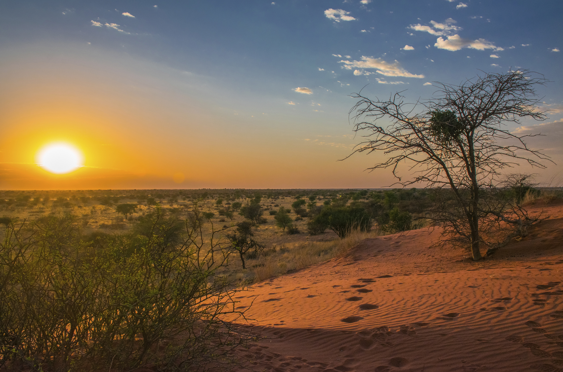 kalahari oerken_solnedgang_01