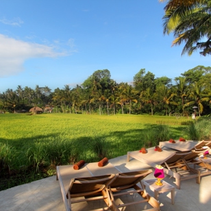 bali - mathis_retrat_rismarker_07