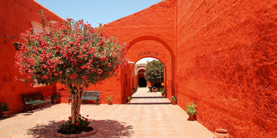 peru - arequipa_santa catalina_18