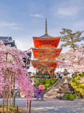 Kyoto Kiyomizudera Sakura