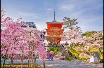 Kyoto Kiyomizudera Sakura