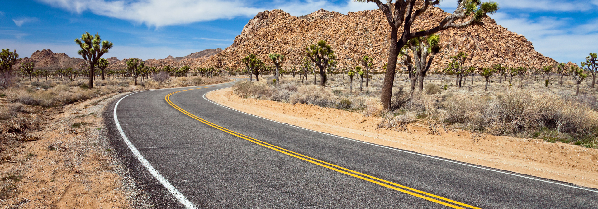 usa - arizona_scottsdale_joshua tree national park_03