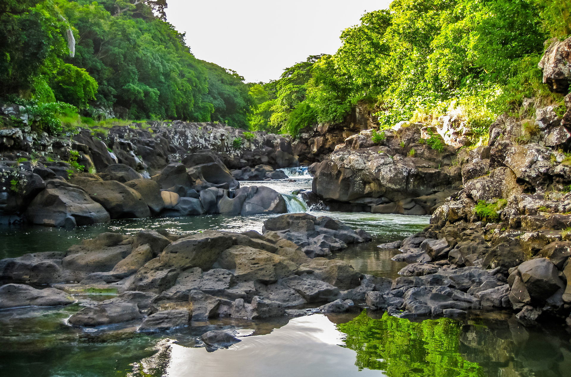 mauritius - mauritius_black river gorge_natur_01