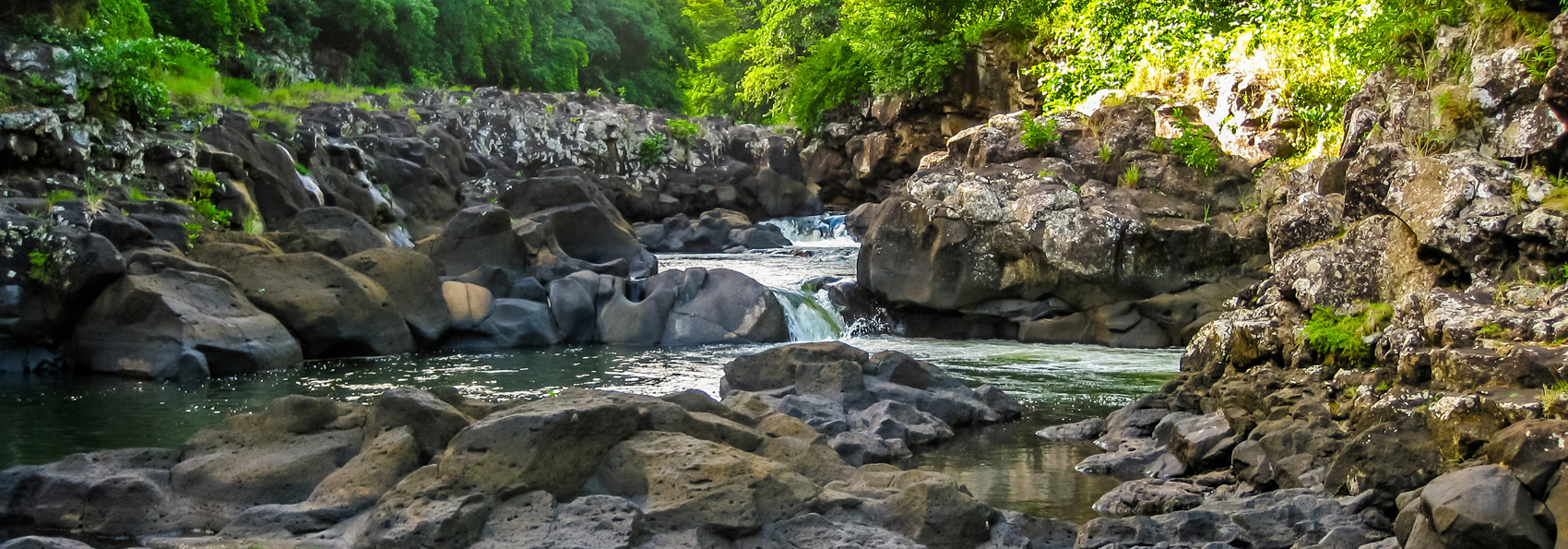 mauritius - mauritius_black river gorge_natur_01