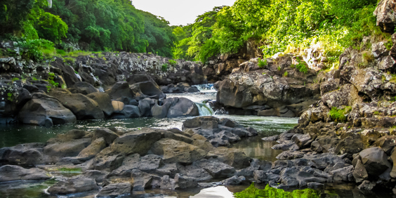 mauritius - mauritius_black river gorge_natur_01