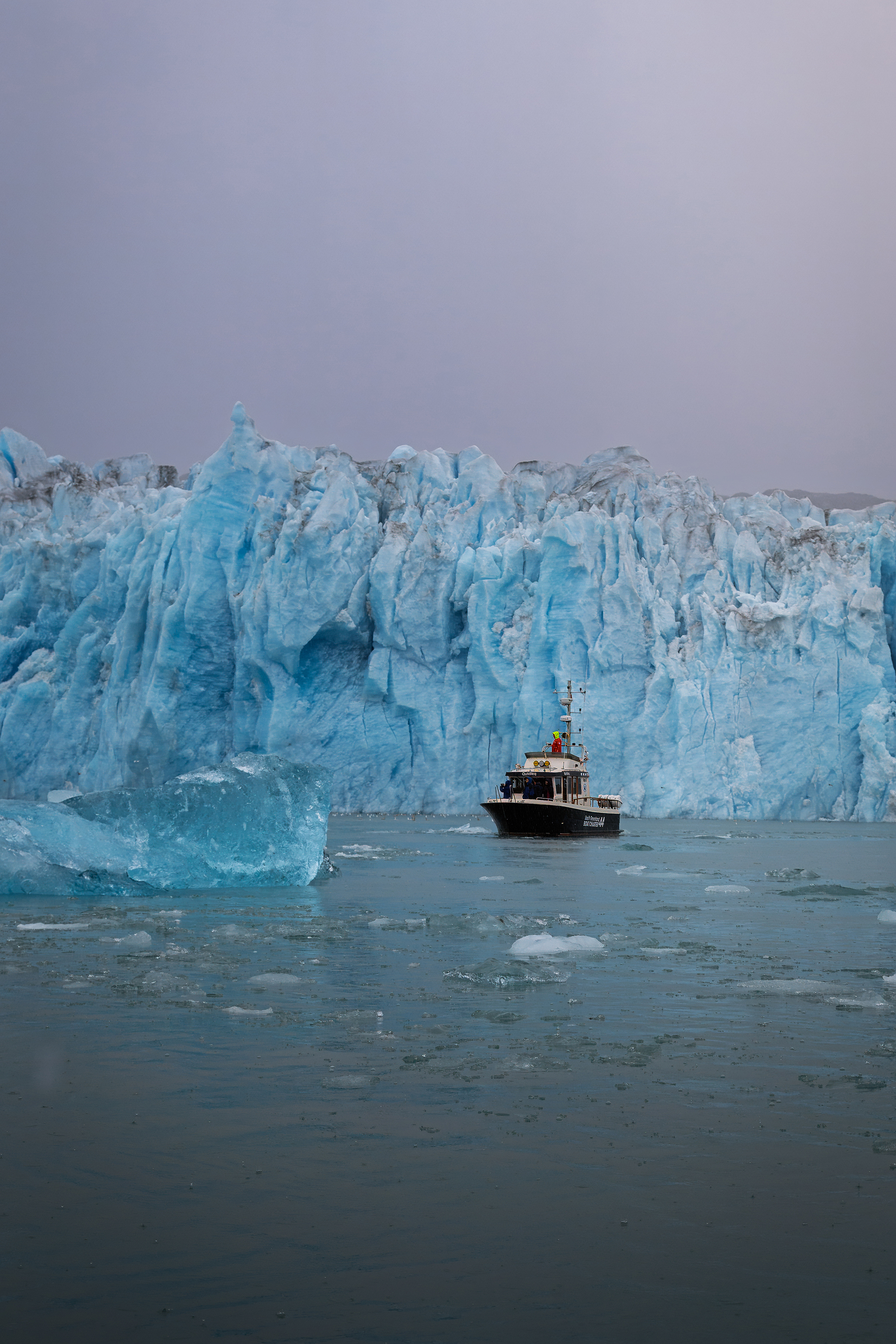 I sejler på en dagstur til Qalerallit-gletsjeren, hvor isvæggen kælver i dybe brag og isbjerge driver forbi.
