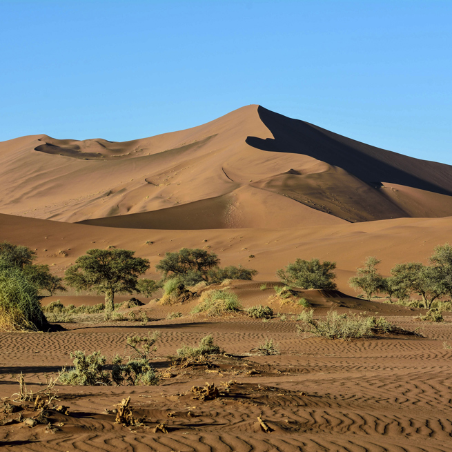 Namib oerken_01