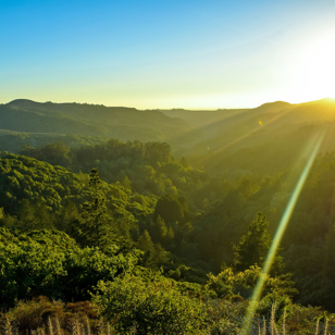 Muir Woods