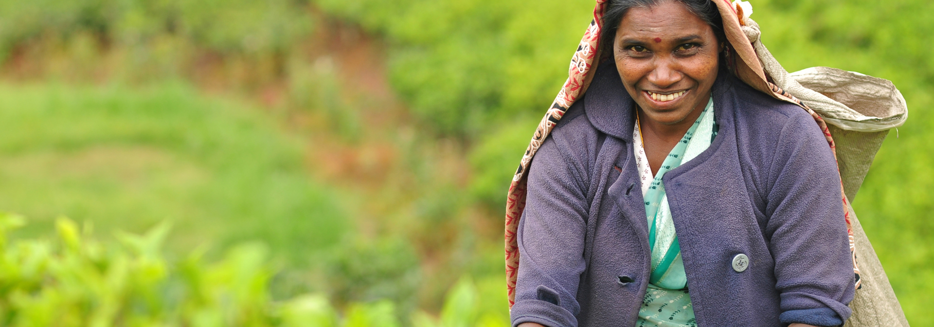 sri lanka - sri lanka_teplantage_kvinde_01