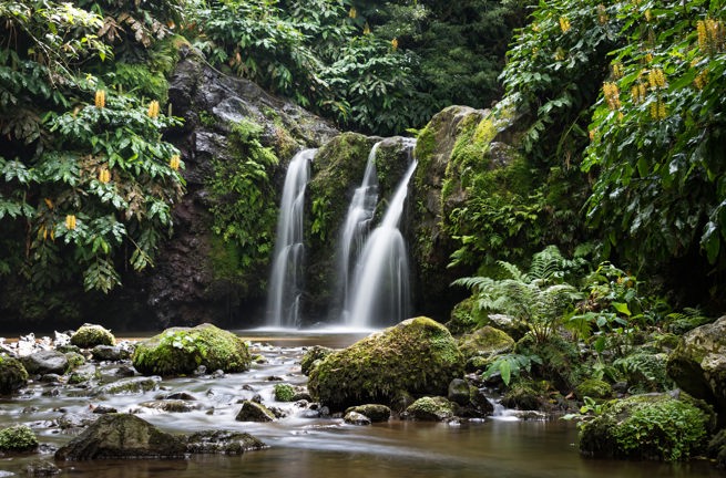 Azorerne_nordeste_ribeira dos caldeiroes
