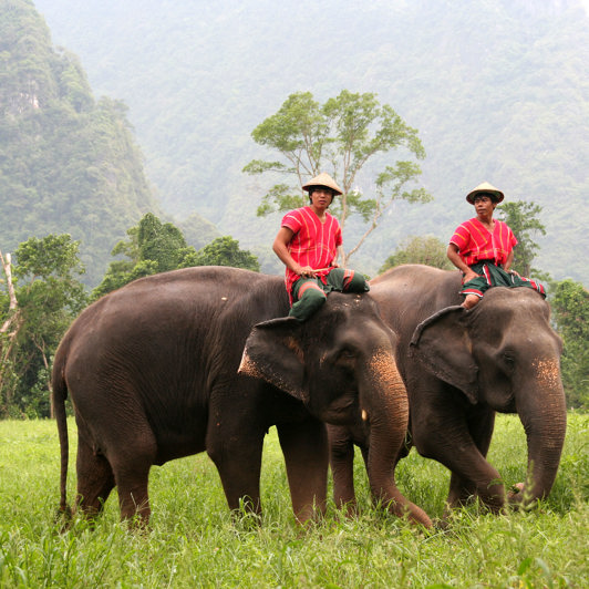thailand - khao sok_elephant hills_elefanter_01