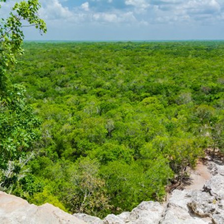 Yucatan Coba Udsigt 02