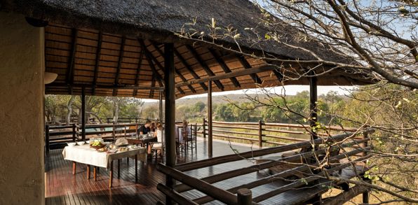 Cheetah Camp