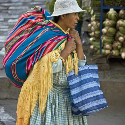 bolivia_la pez_befolkning_04