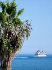 celebrity millennium_tropisk_01_HF_02