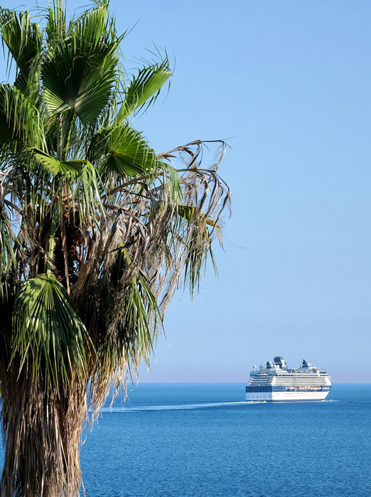 celebrity millennium_tropisk_01_HF_02
