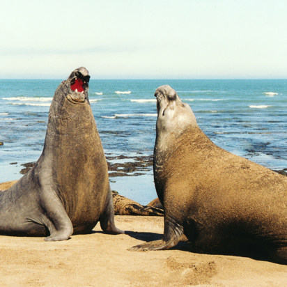 puerto madryn_03