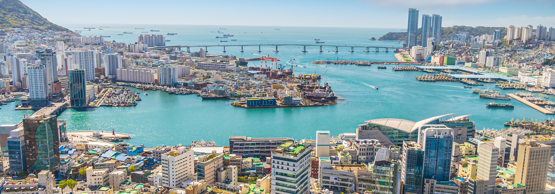 Busan City Skyline