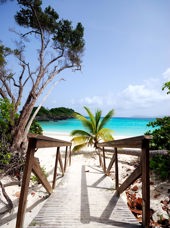 dansk vestindien - st john_trunk bay_04_HF
