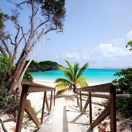 dansk vestindien - st john_trunk bay_04_HF