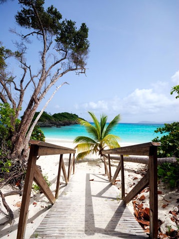 dansk vestindien - st john_trunk bay_04_HF