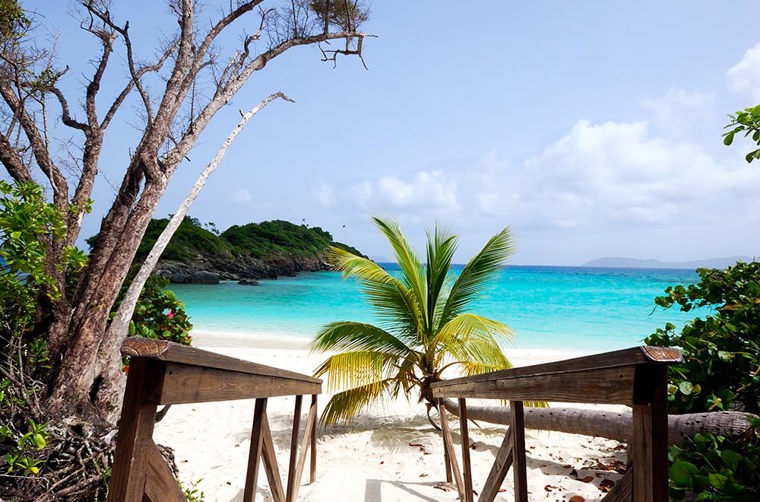 dansk vestindien - st john_trunk bay_04_HF