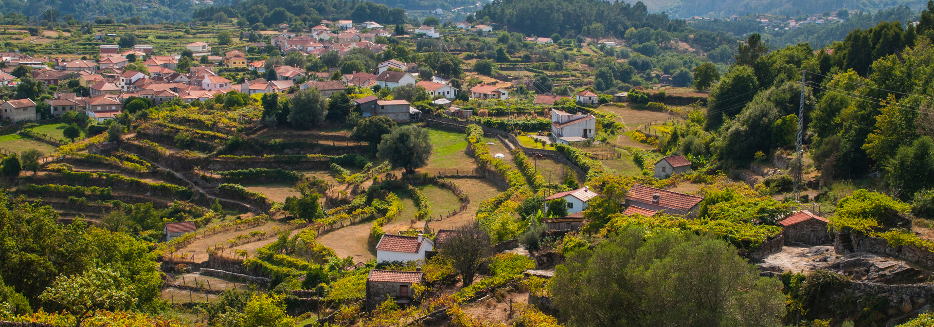 castro laboreiro_by_02