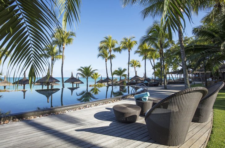 Royal Palm Beachcomber1