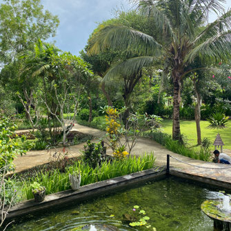 Garden2