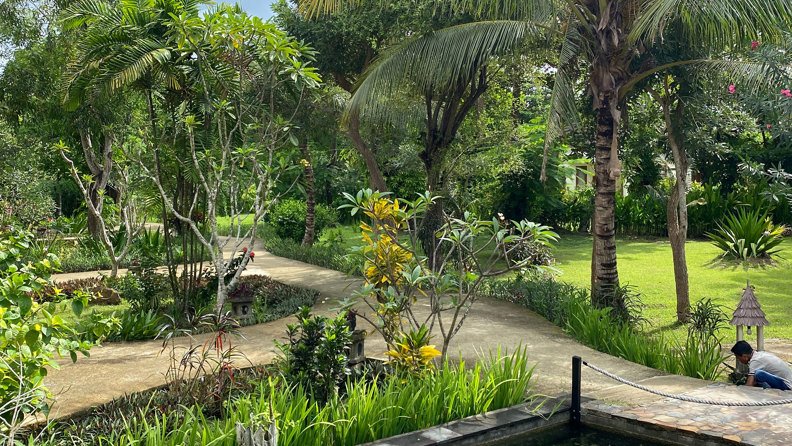 Garden2