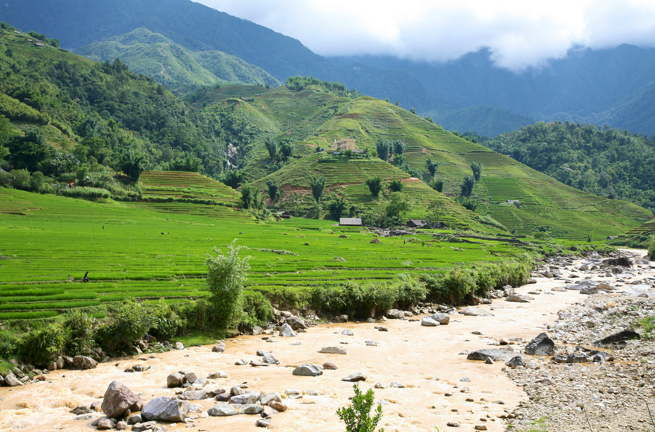Vietnam - sapa_rismark_01
