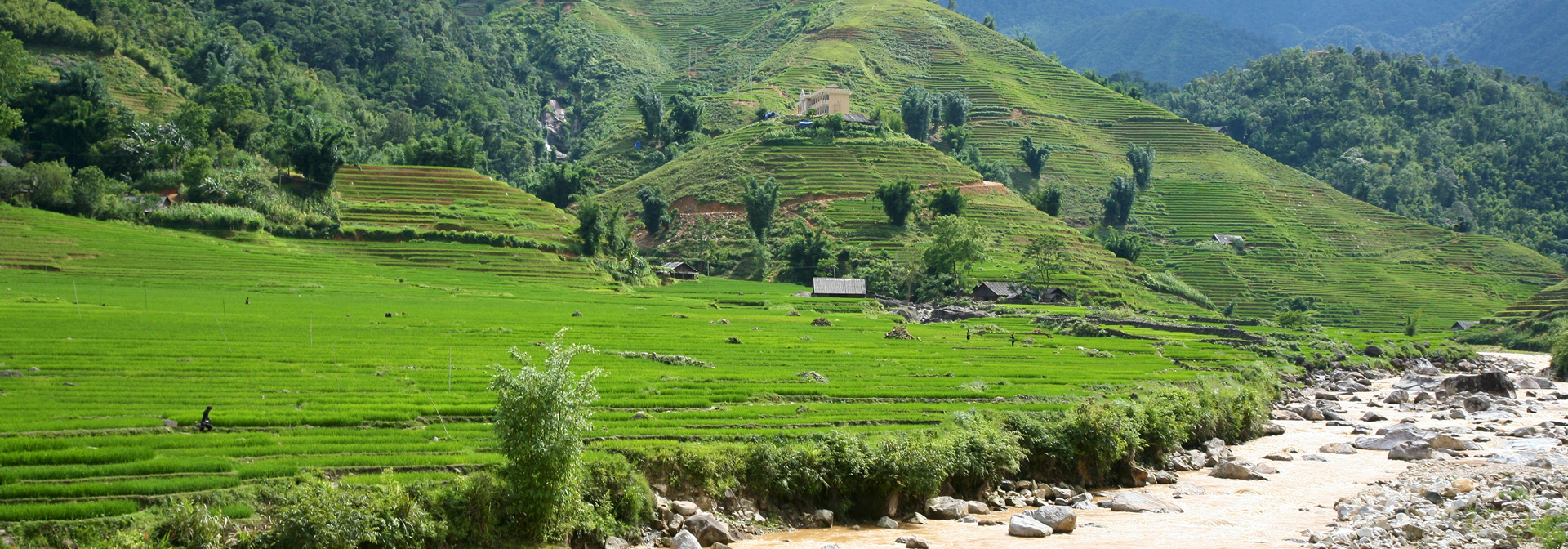 Vietnam - sapa_rismark_01