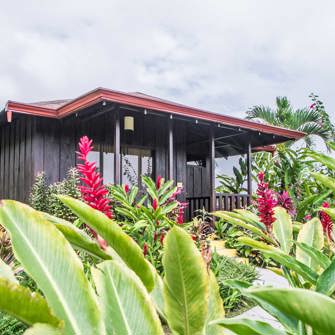 Planter Foran Bungalow