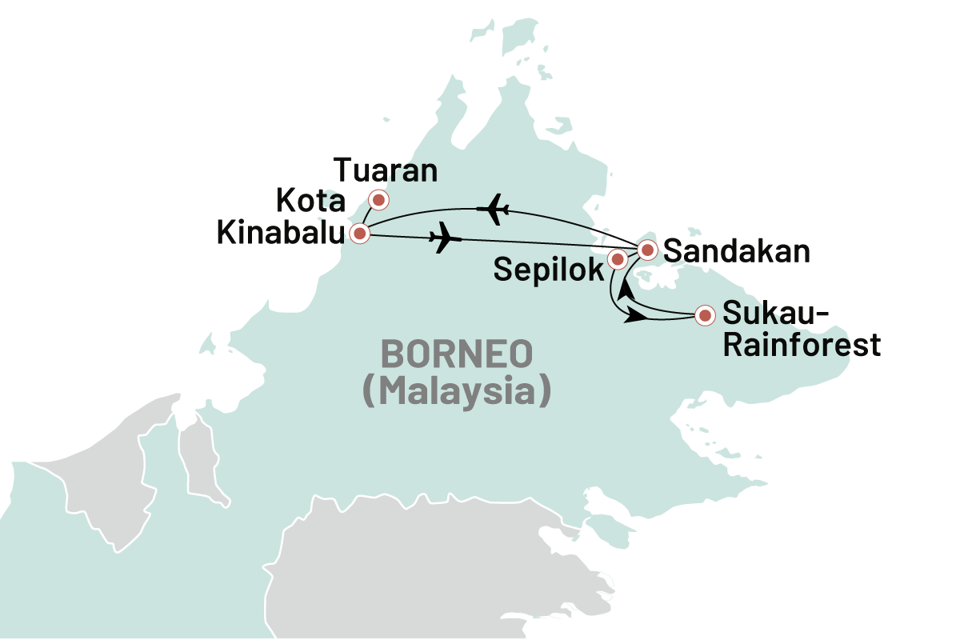 Borneo En Rejse I Sabahs Regnskov