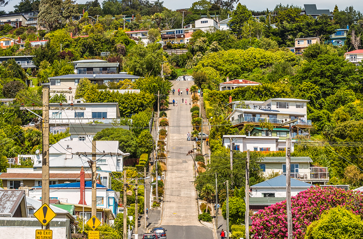 new zealand - dunedin_baldwin street_01